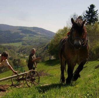 Agroturystyka Miller�wka