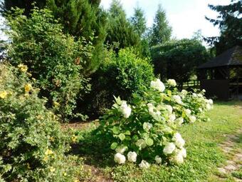 Gospodarstwo Agroturystyczne Biebrzanska Goscina