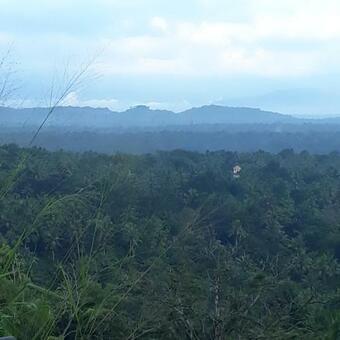 Hotel Amara Ayurveda Retreat- Overlooking Evergreen Western Ghats An Ecologically Sustainable Living Space In Kovalam
