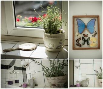Ver fotos
