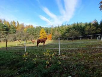 Apartamento Zacisze Pod Bukami