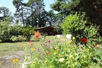 Holiday Homes, Kodrabek
