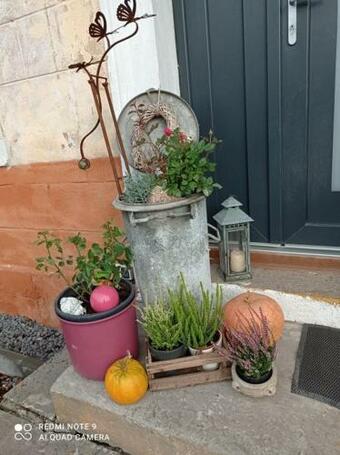 Agroturismo Dom Mili