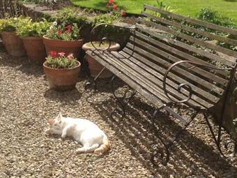 Hostal Altonlea Lodge