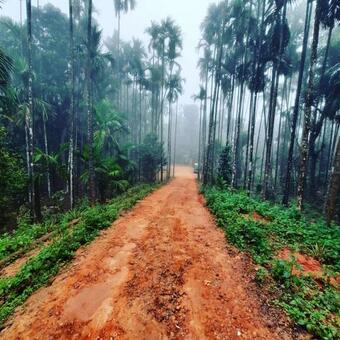 Hotel Hosamane Farm Inn