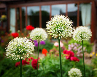 Bed & Breakfast Burnbank