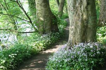 The Old Station House B&B