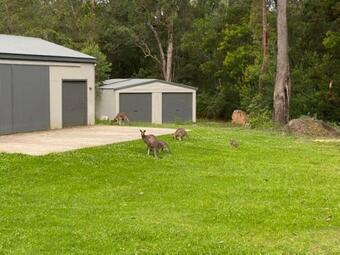 Basin View Family Farm