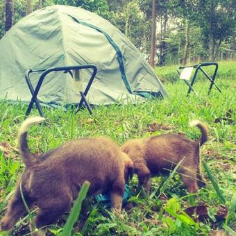 Rithu Campings