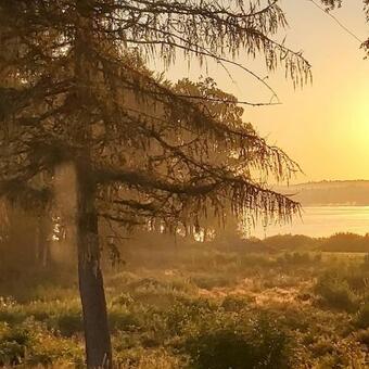 Lodge Joarsbo, Stuga 2, "g�rdsstugan"