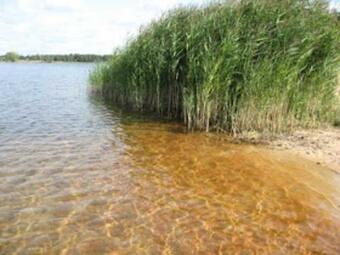 Apartamento See Ferienwohnung 1 M�hlauer See