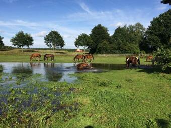 Apartamento Reit- Und Bauernhof Klaucke