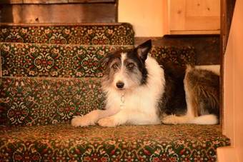 Bed & Breakfast Badgers Hall