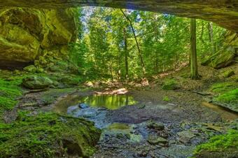 Kentucky Paradise On-site Hiking And Waterfall