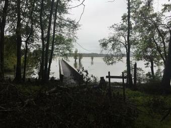 Tentrr State Park Site - Lake Darbonne State Park Site F