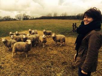 Bed & Breakfast The Old Rectory, Kettlebaston