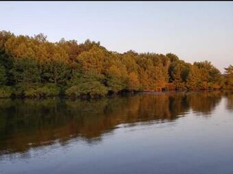 Tentrr State Park Site - Lake Darbonne State Park Site G Double Tent Site