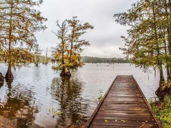Tentrr State Park Site - Chicot State Park Site B Double Tent Site