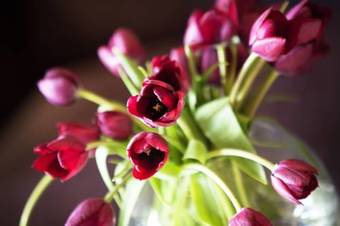 Hostal York House Hotel