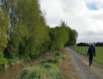 Bed & Breakfast 113 On Park