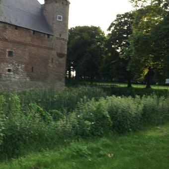 Bed & Breakfast De Terp