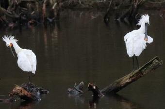 Apartamento Casaluca