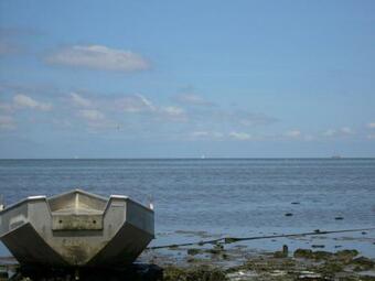 Recreatiepark Wiringherlant - Wiringher Chalet 26 - 27