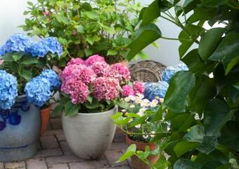 Apartamento De Kersenbongerd