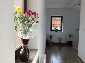 Hostal Pensiunea Bucur