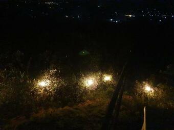 Lodge Glamping El Ed�n - El Olimpo