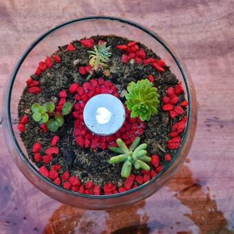 Glamping Portal Del Bosque