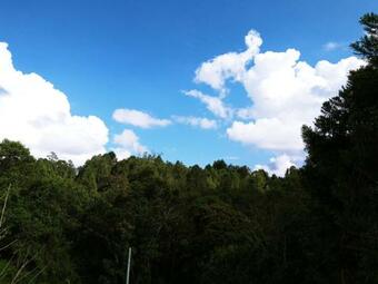 Alojamiento Santa Barbara