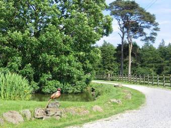 Agroturismo Rawcliffe House Farm Holiday Cottages