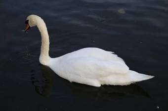 Hostal Portsmouth Inns