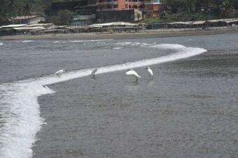 Apartamento C�modo Departamento Para UNA Agradable Estancia