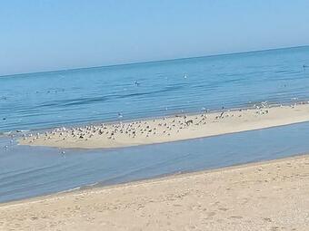 Apartamento Departamento Irene