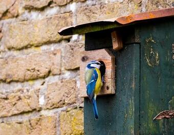 Bed & Breakfast Kwadijkerbos