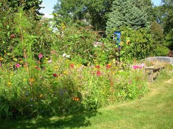 Apartamento Guest House Logies Taverne Nearby Weert, Roermond And Thorn