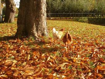 Apartamento Ooldershoeve