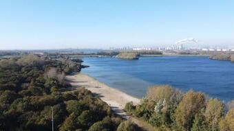 Gezellig Chalet Op Loopafstand Van Strand, Bos En Duinen