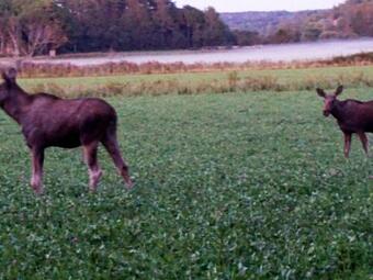 Holiday Home H�llevadsholm