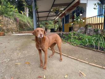 Villa Granja La Punta