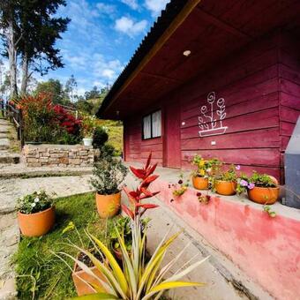 Apartamento Escala 100 Organicfarm