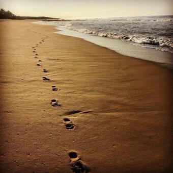 Bed & Breakfast Beachfront Paradise Boutique Hotel