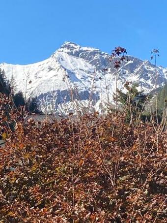 Apartamento Haus Angermann