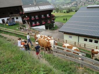 Agroturismo Bauernhof Bethuber