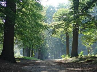 Luxe Safaritent Medley 5 Persoons Op Camping Rijsterbos