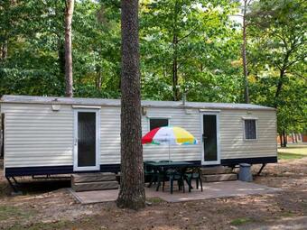 Holiday Home Oostappen Vakantiepark Arnhem-10