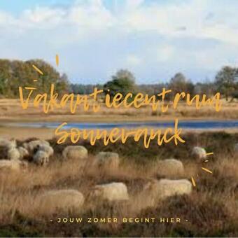 Sfeervol Chalet In Drenthe Bij Het Dwingelderveld