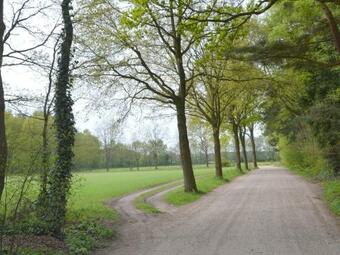 Modern Holiday Home In North Limburg Near Forest